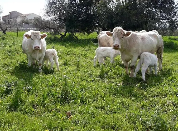 La Dimora Del Decano Feriegård Scicli